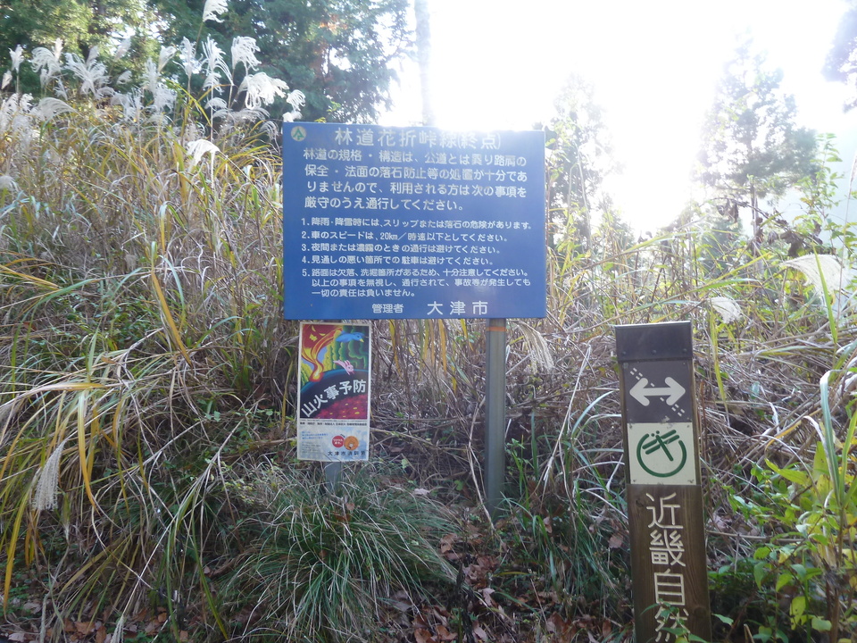 P1190902_mid.jpg