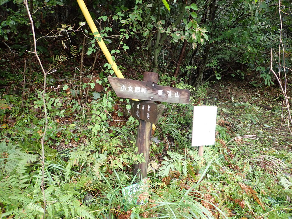 PA131454_mid.jpg