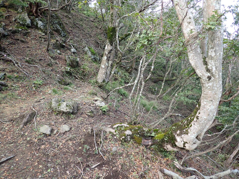 PA131630_mid.jpg