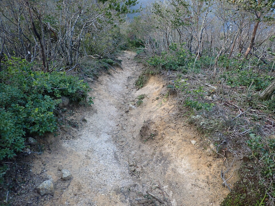 PA131641_mid.jpg