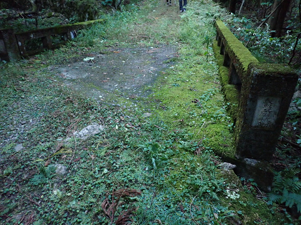 PA131692_mid.jpg