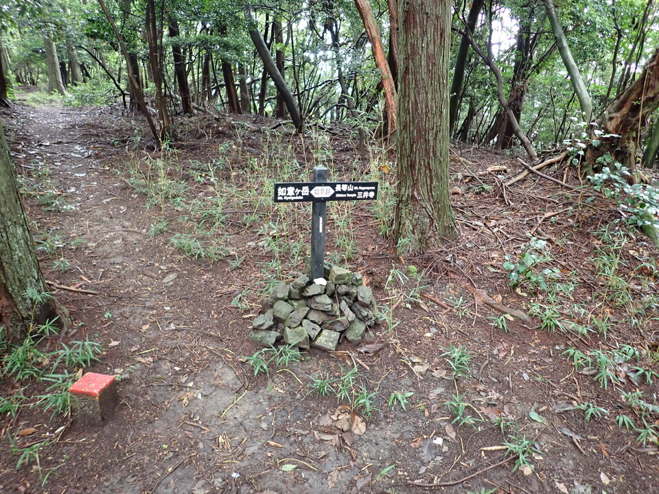 P9266250_mid.jpg