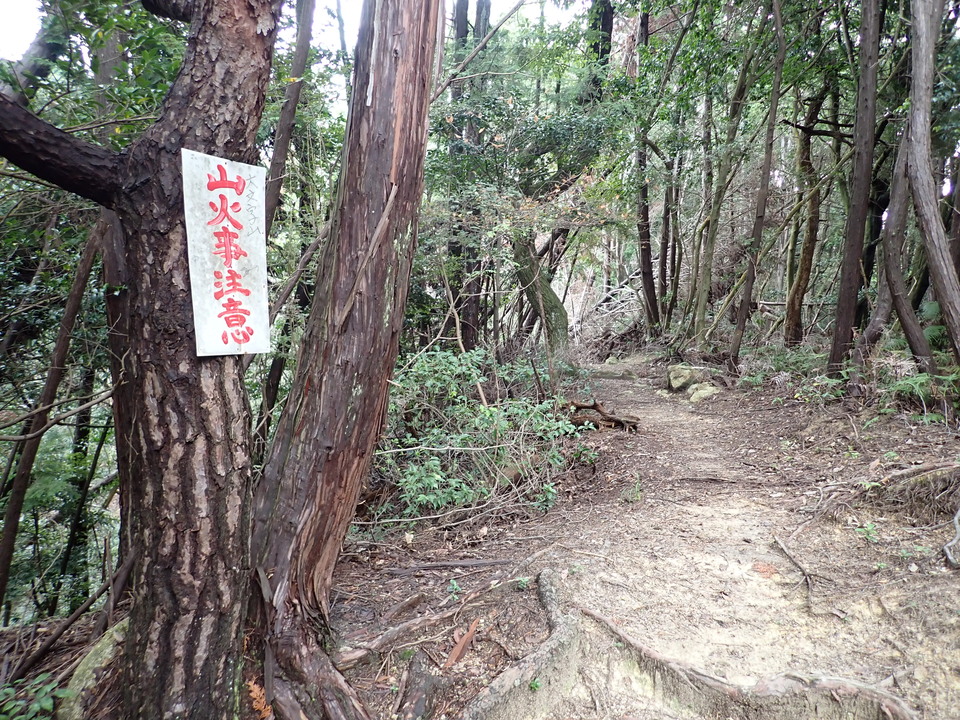 P9266285_mid.jpg
