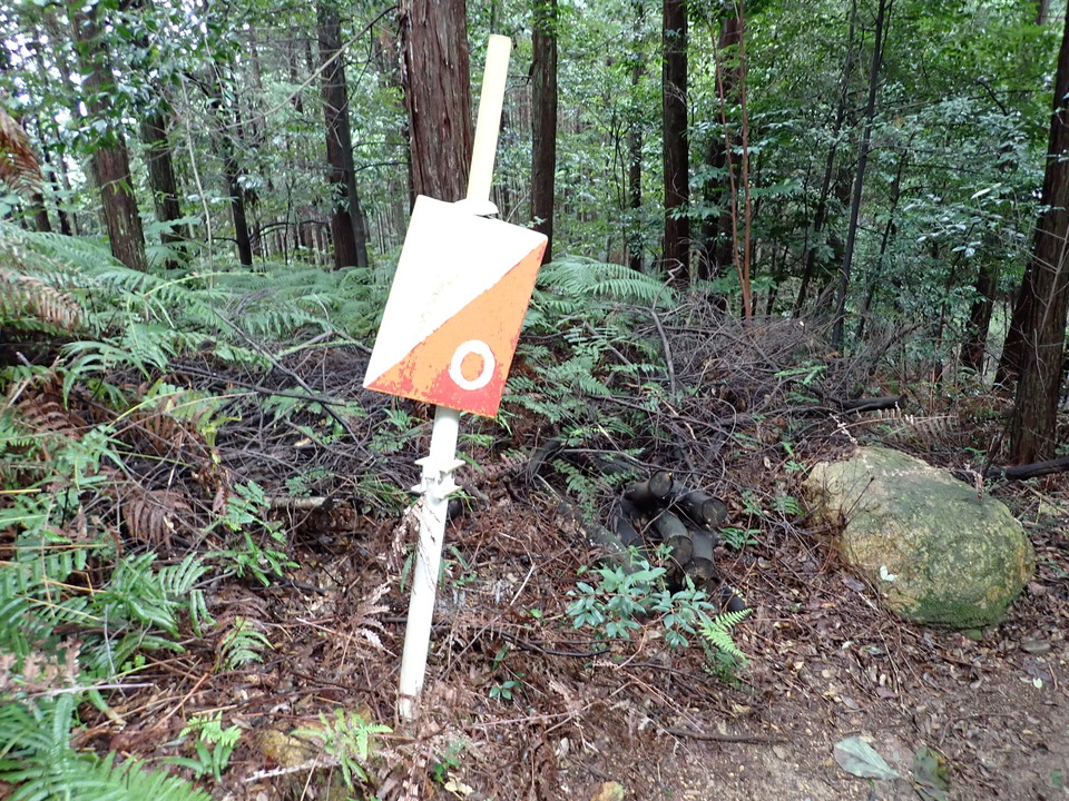 P9266288_mid.jpg