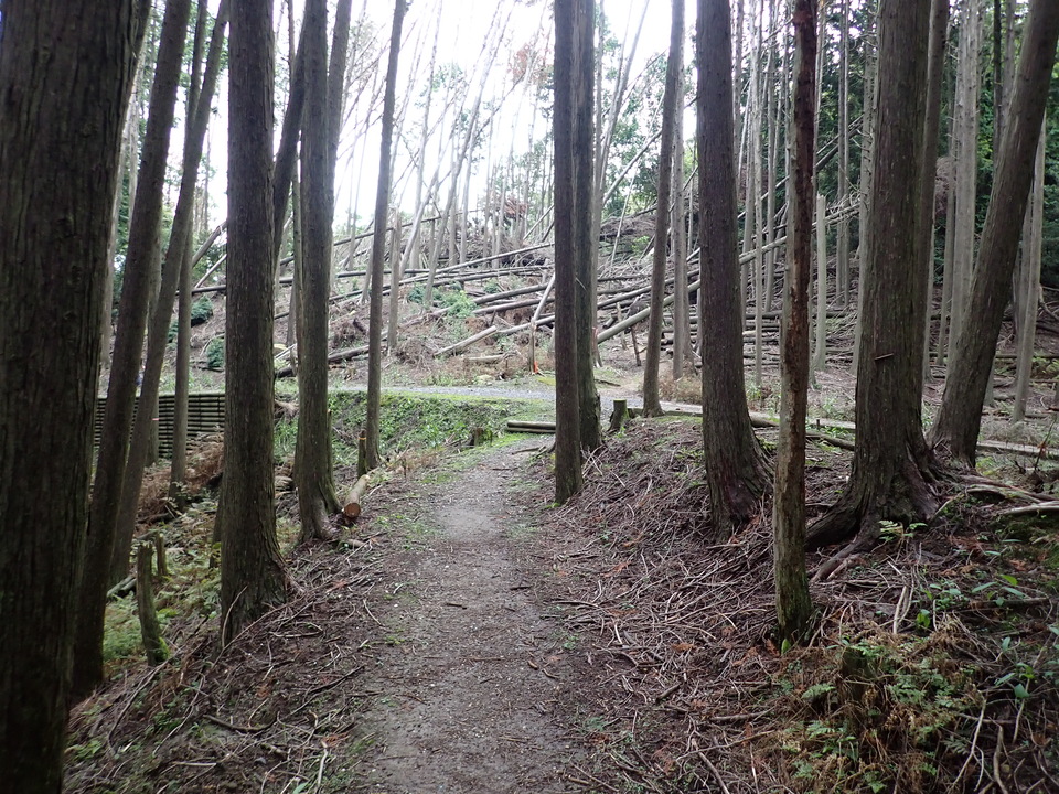 P9266425_mid.jpg