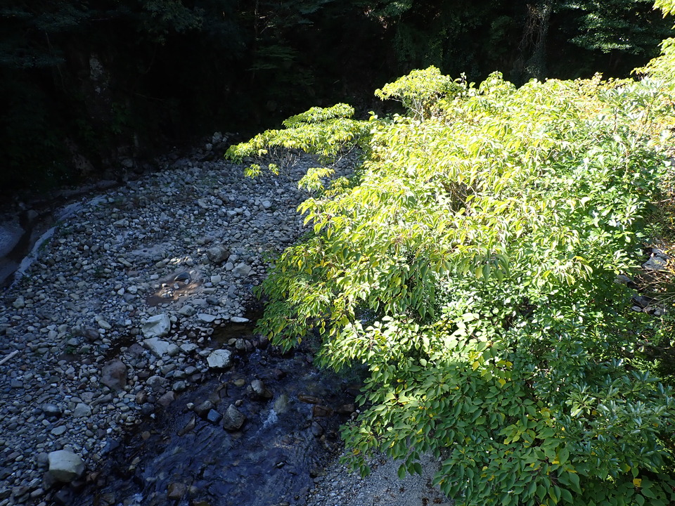 PA316688_mid.jpg