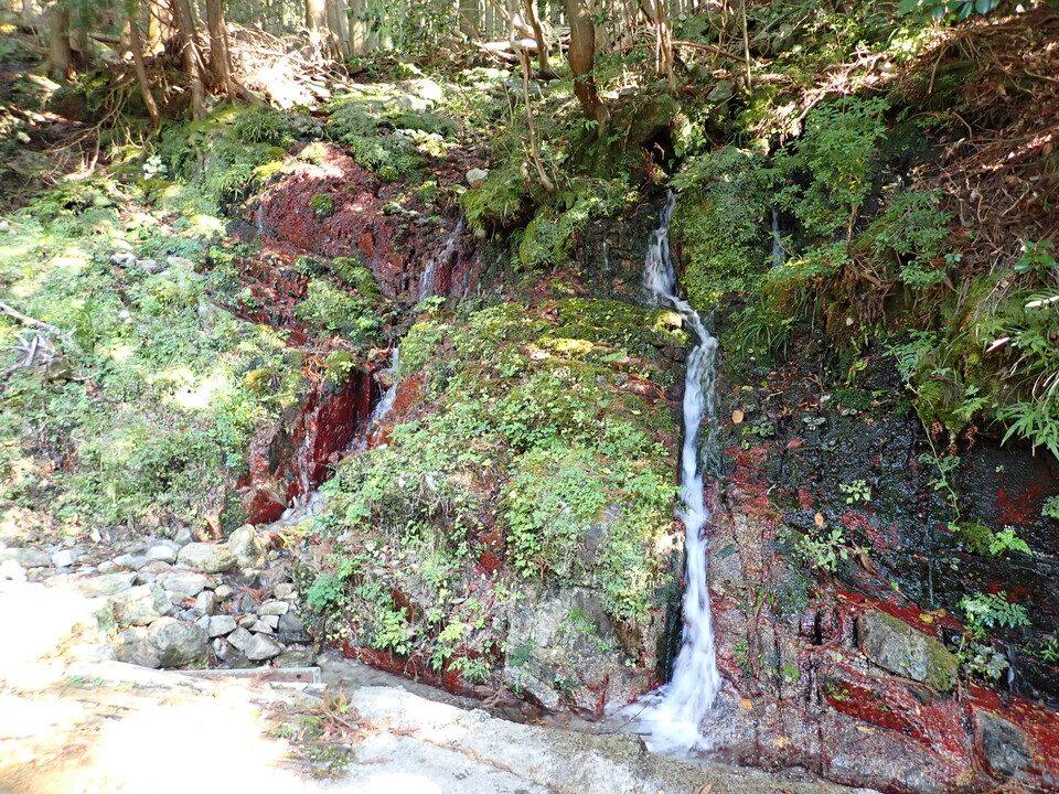 PA316695_mid.jpg