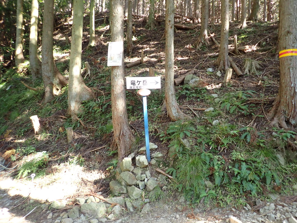 PA316698_mid.jpg