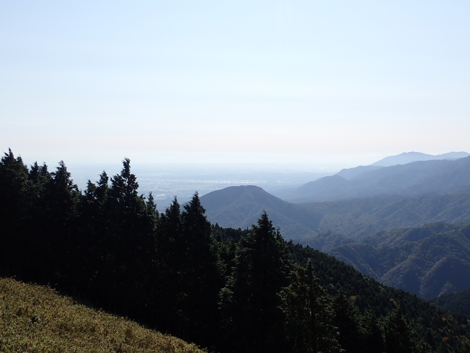 PA316738_mid.jpg