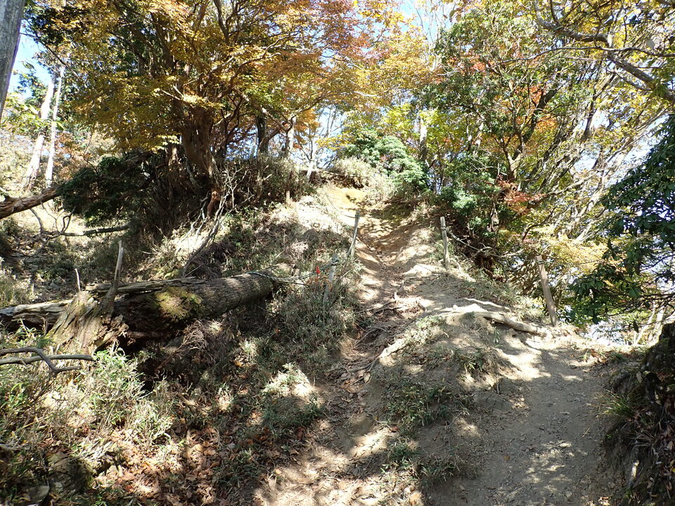 PA316744_mid.jpg