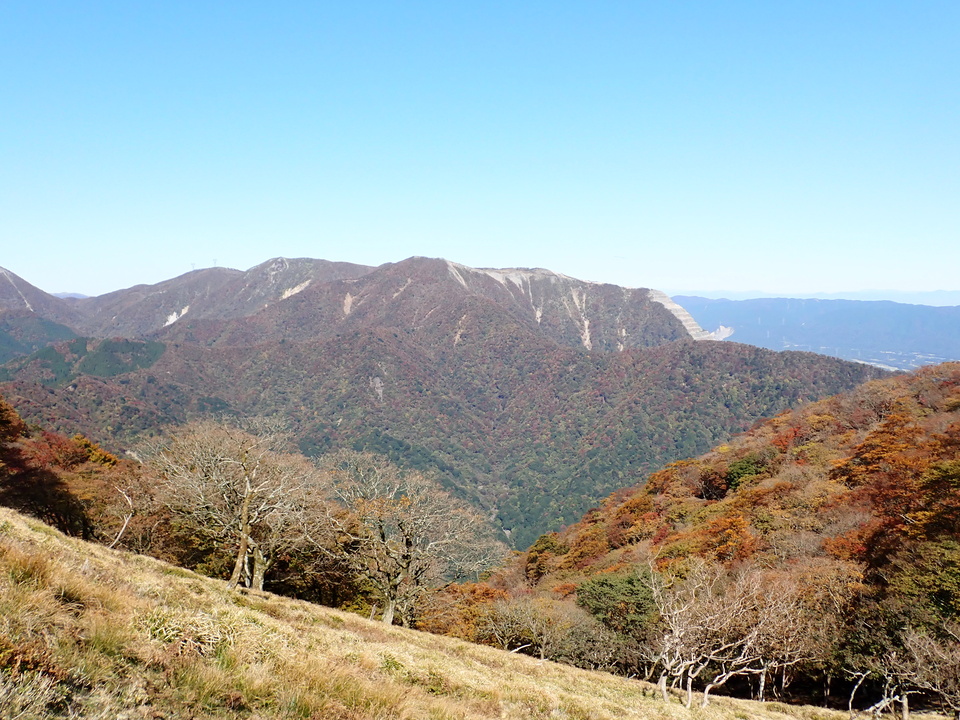 PA316783_mid.jpg