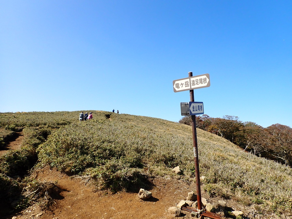 PA316798_mid.jpg