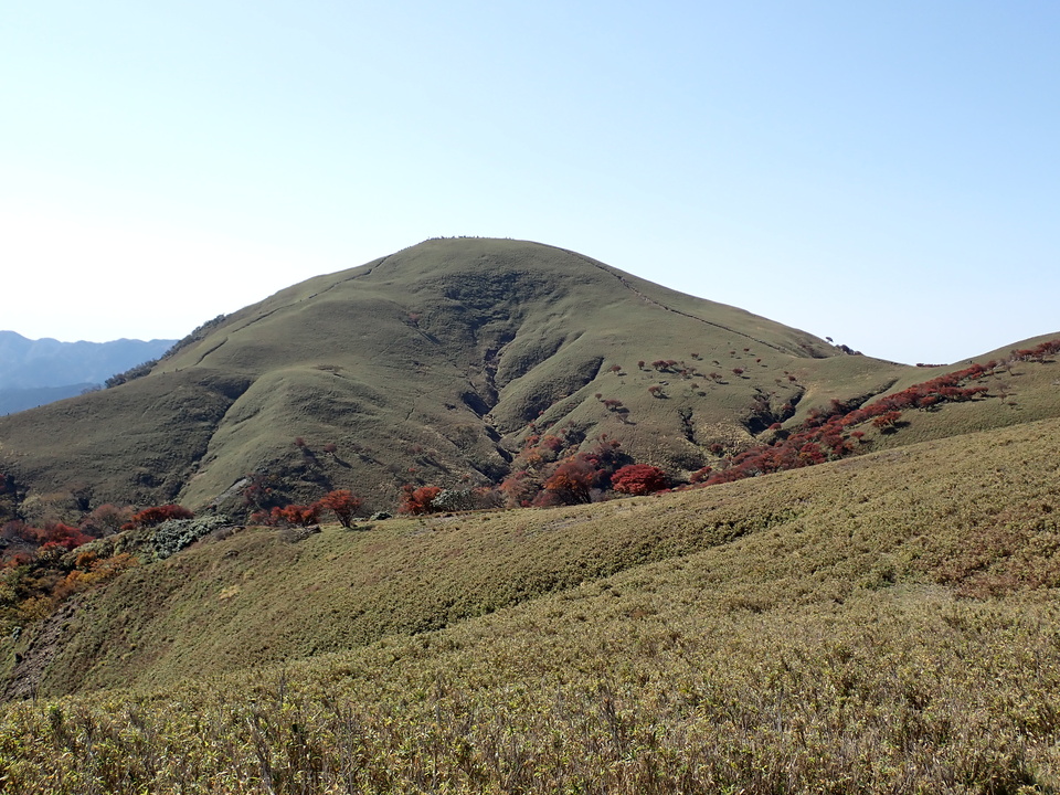 PA316802_mid.jpg