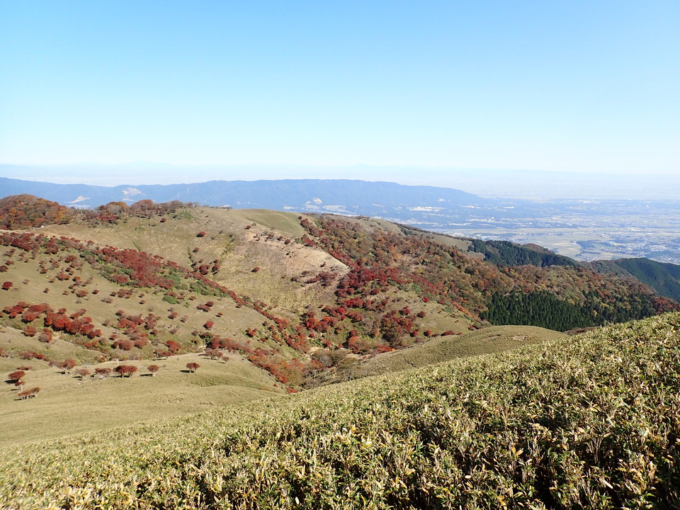 PA316825_mid.jpg