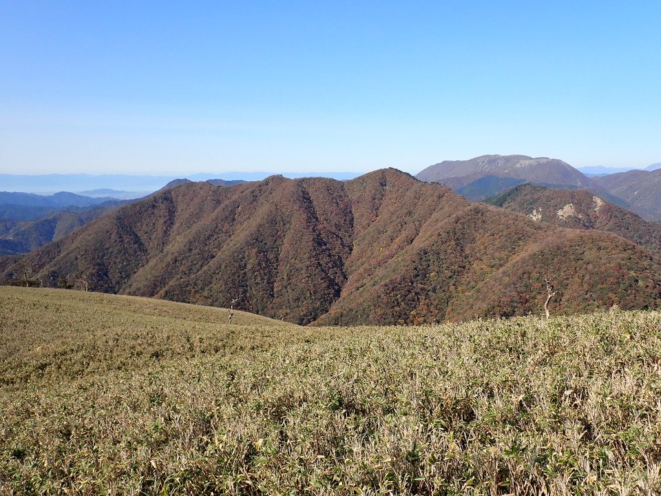 PA316847_mid.jpg