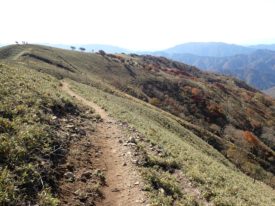 PA316855_mid.jpg