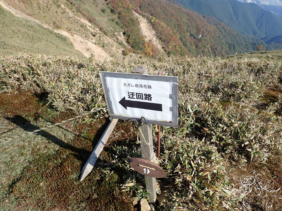 PA316858_mid.jpg