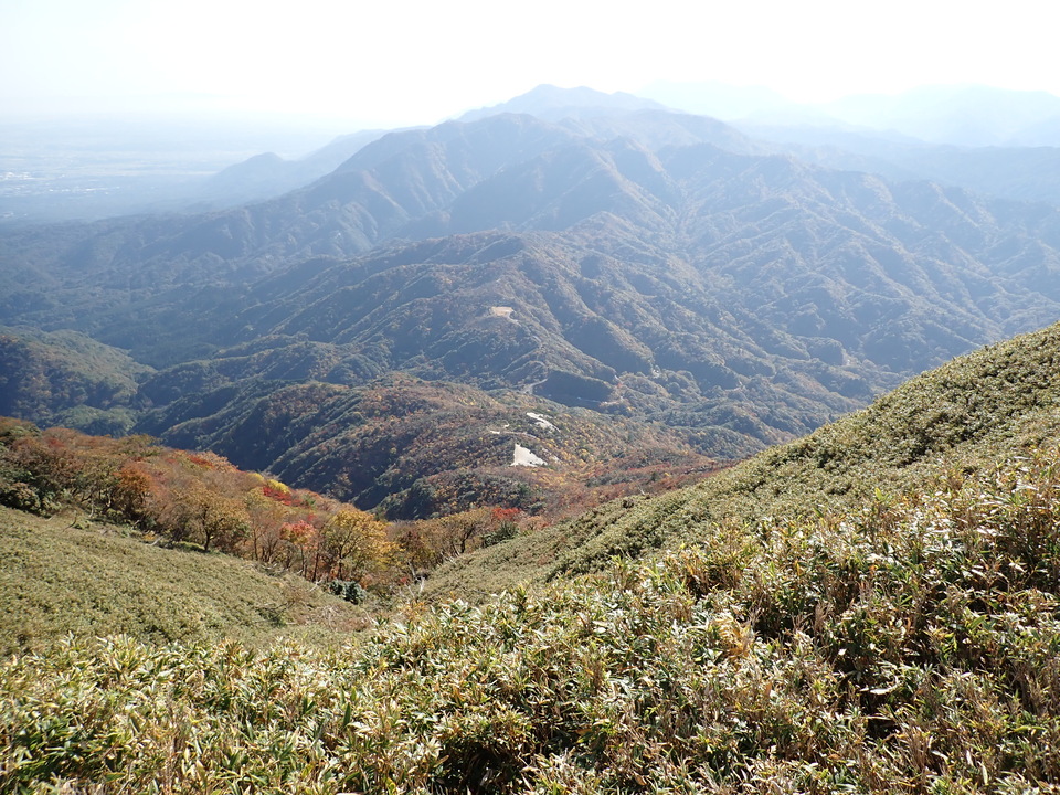 PA316863_mid.jpg