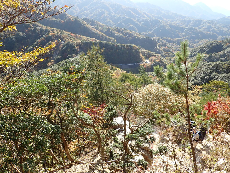 PA316911_mid.jpg