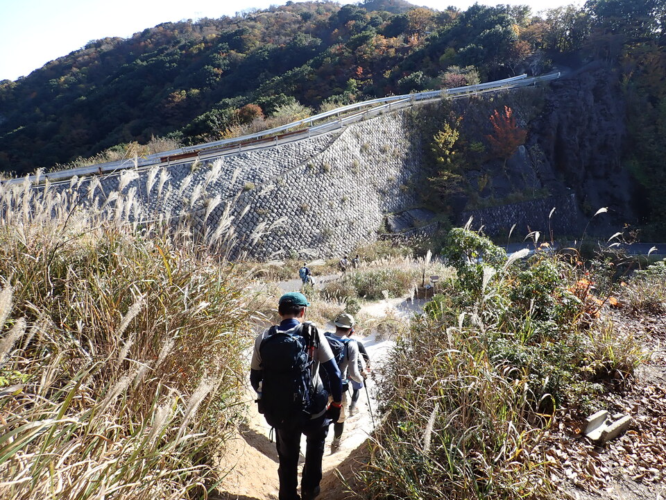 PA316914_mid.jpg
