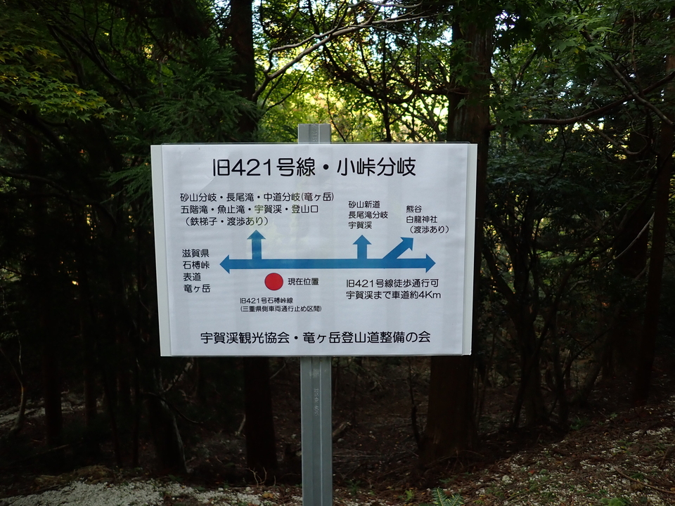 PA316926_mid.jpg