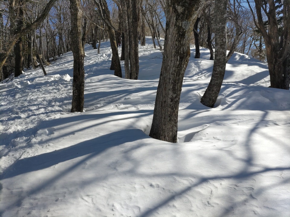 DSC_0423_mid.jpg