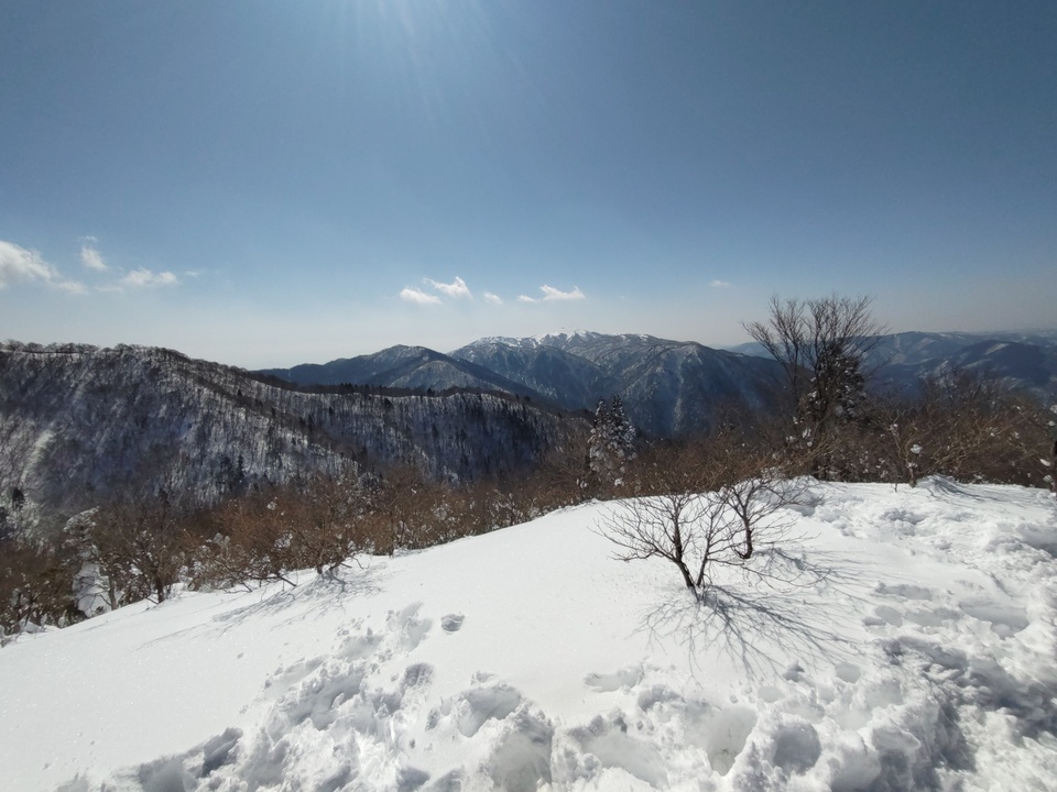 DSC_0442_mid.jpg