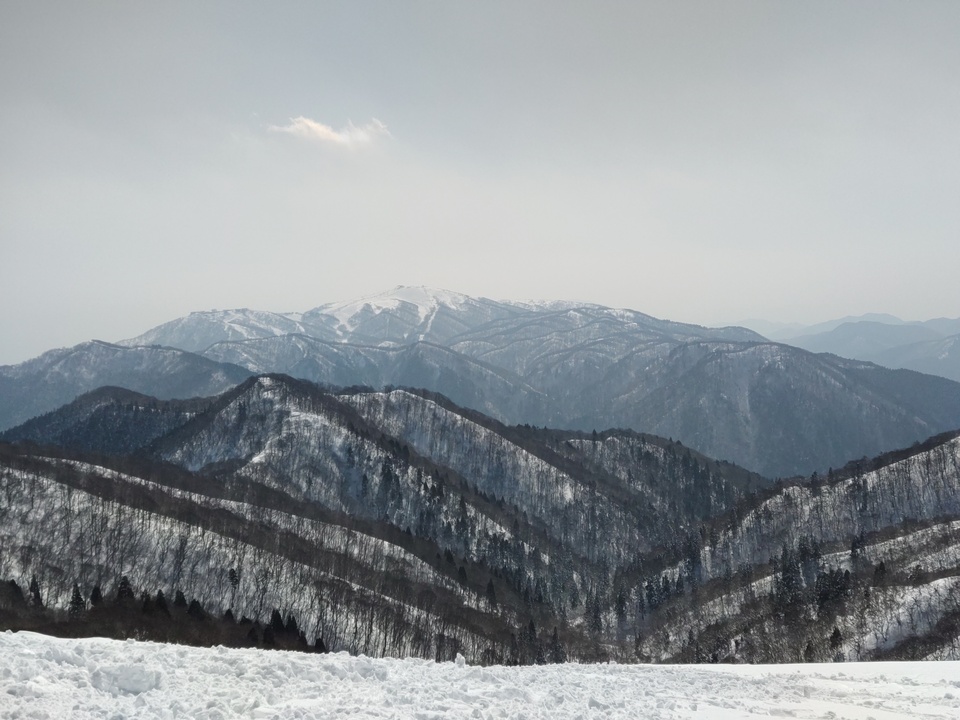 DSC_0506_mid.jpg