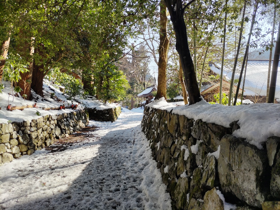 DSC_0511_mid.jpg