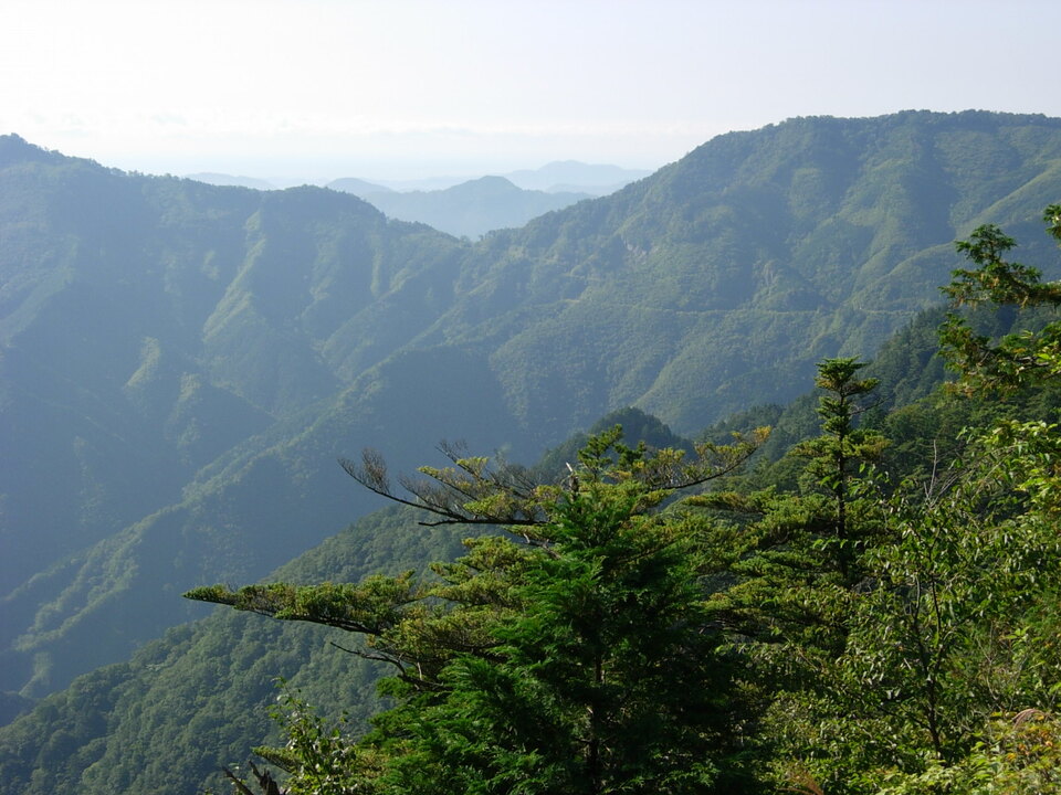 DSCN4363_mid.jpg