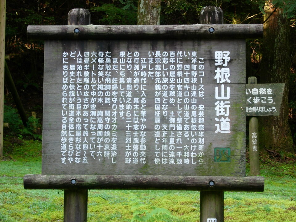 DSCN4490_mid.jpg