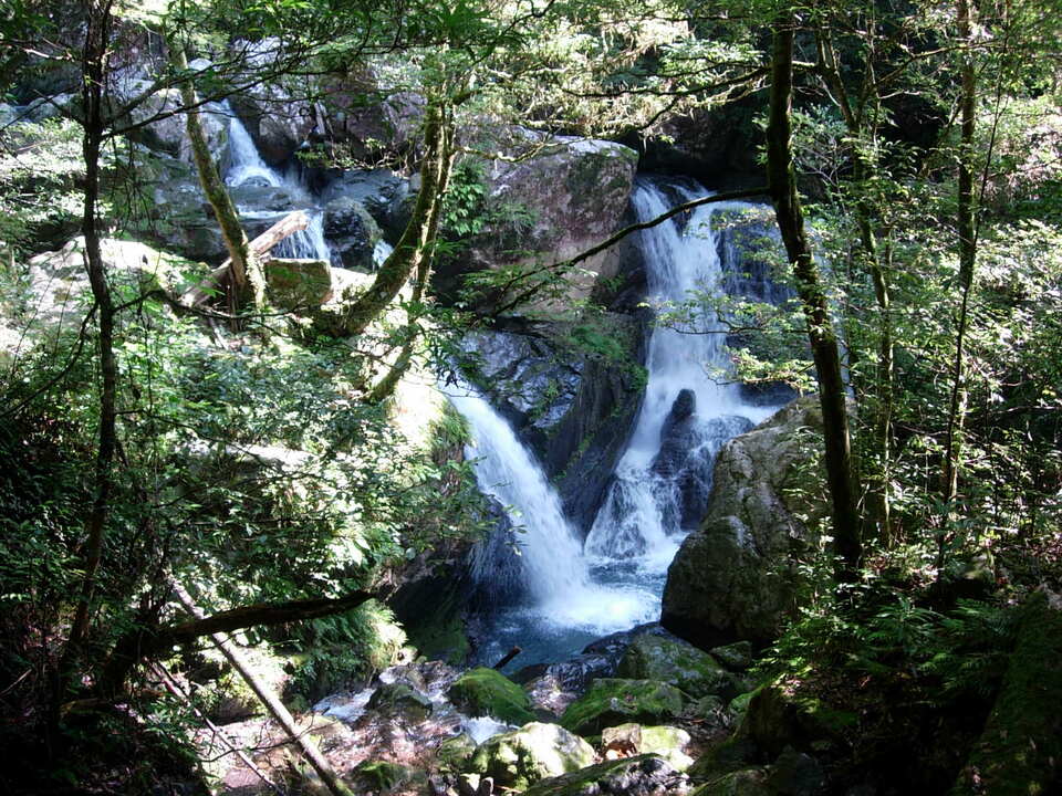 DSCN4532_mid.jpg