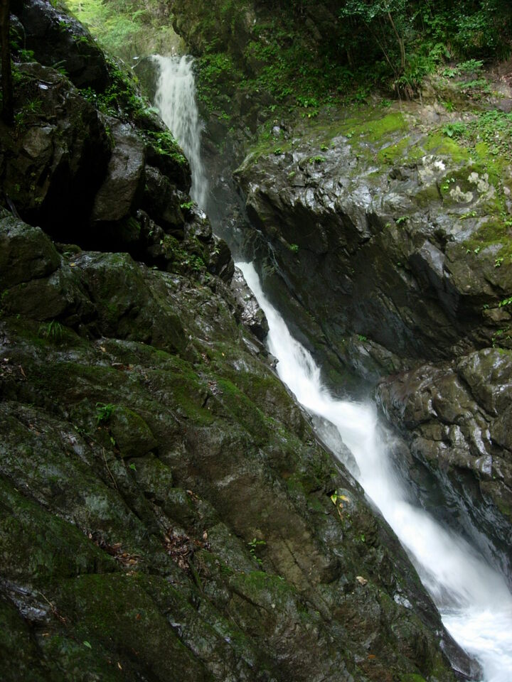 DSCN4545_mid.jpg