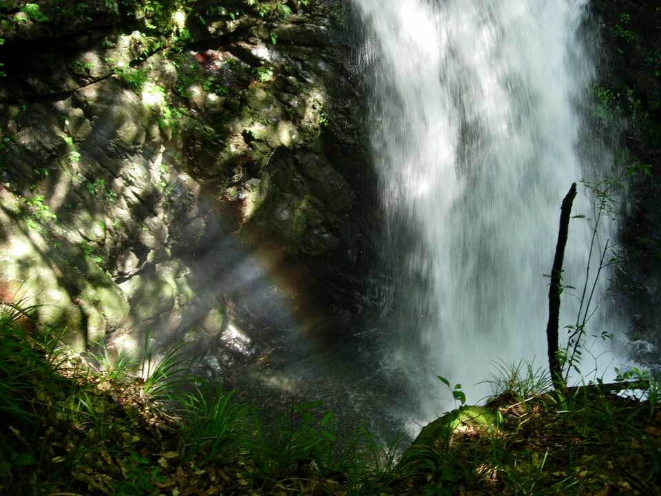 DSCN4553_mid.jpg
