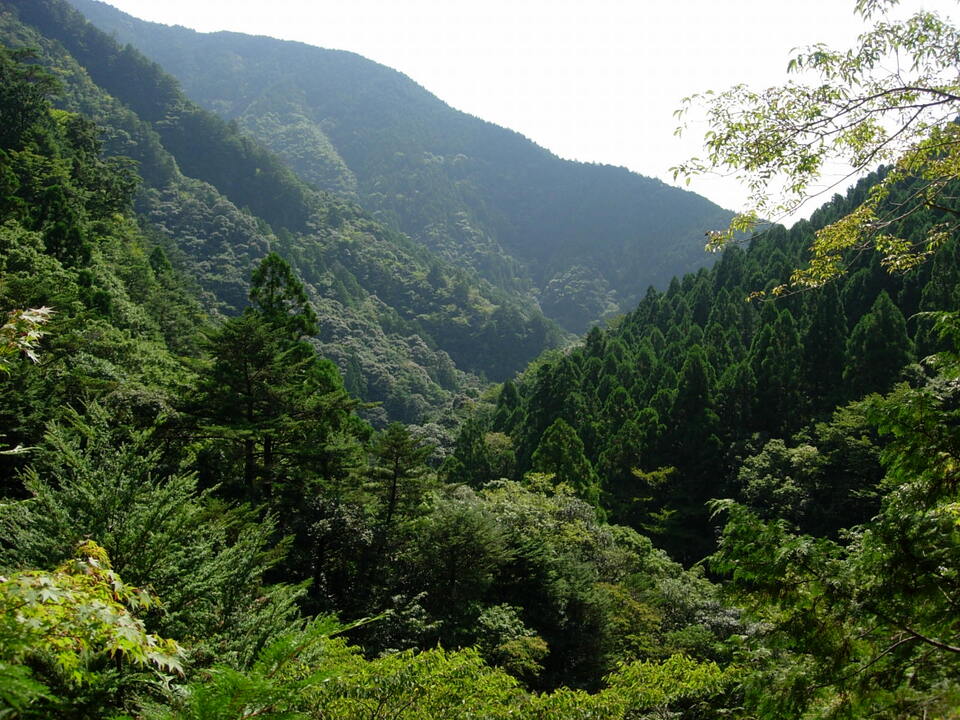 DSCN4560_mid.jpg