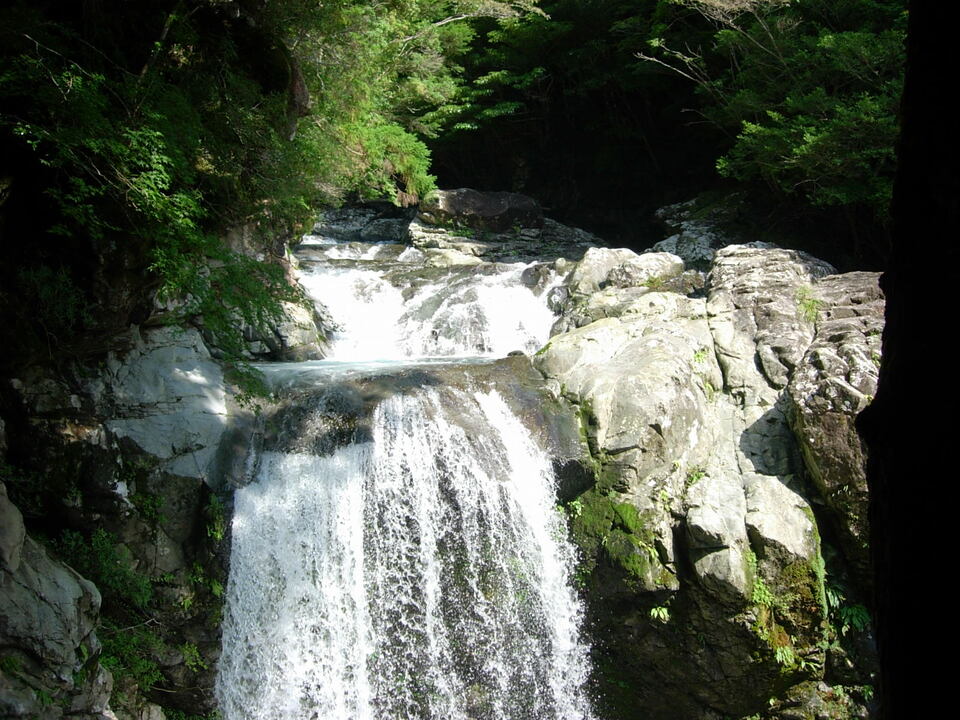DSCN4565_mid.jpg
