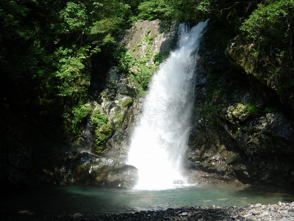 DSCN4575_mid.jpg