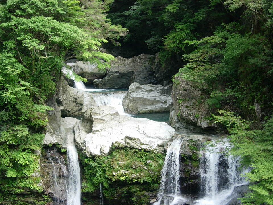DSCN4596_mid.jpg
