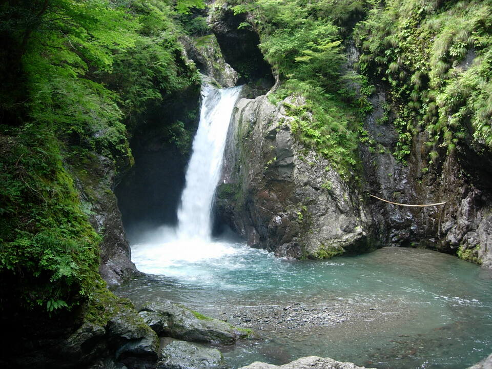 DSCN4609_mid.jpg