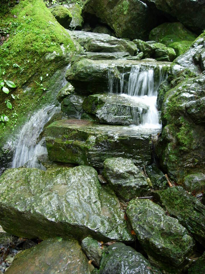 DSCN4643_mid.jpg