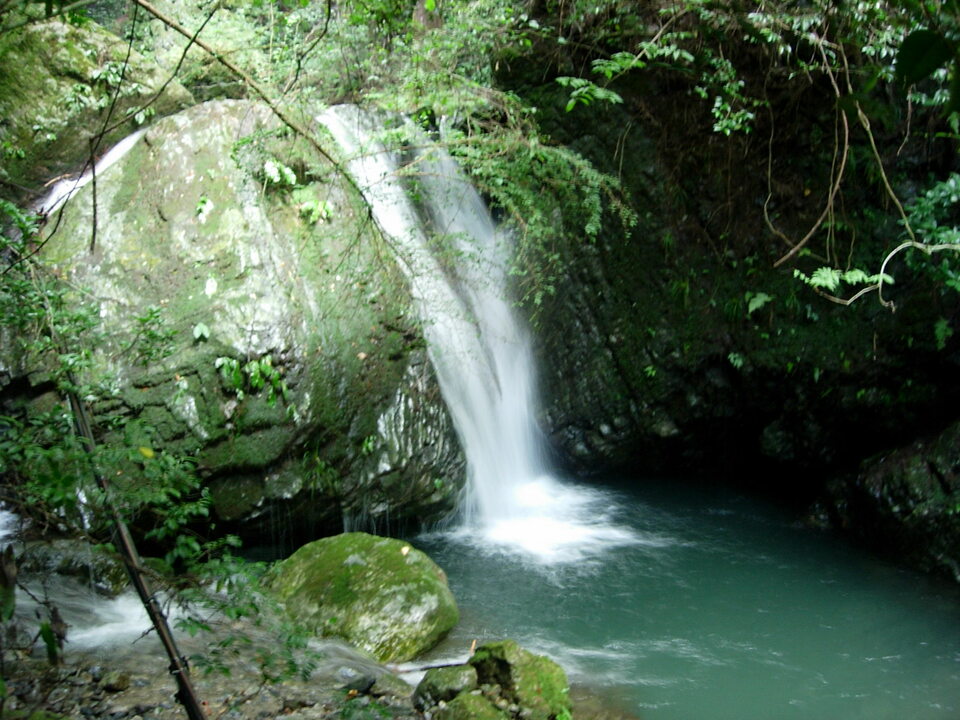 DSCN4658_mid.jpg