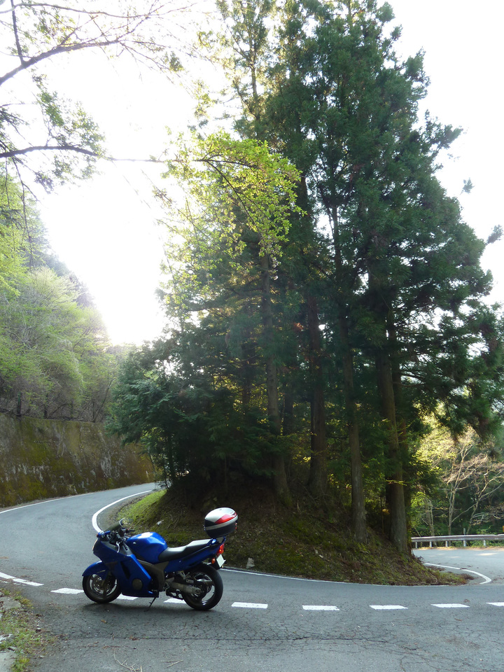 P1010096_mid.jpg