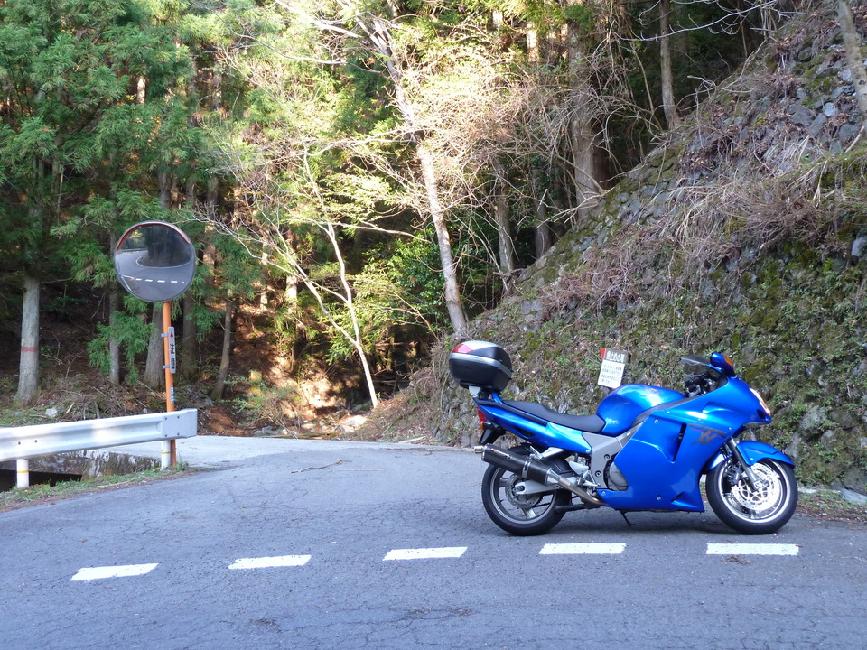 P1010097_mid.jpg