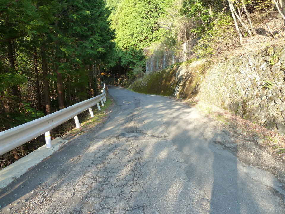 P1010100_mid.jpg