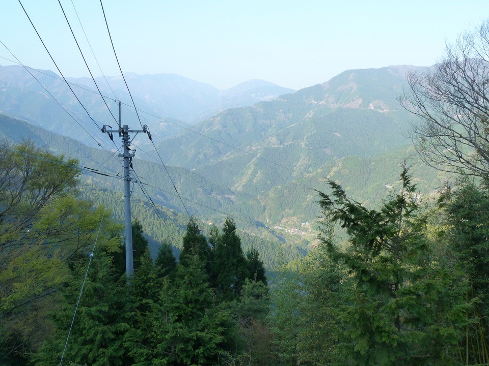 P1010113_mid.jpg