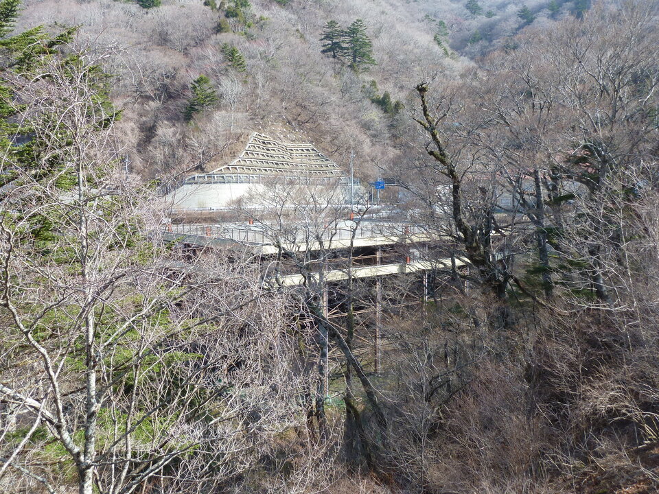 P1010178_mid.jpg