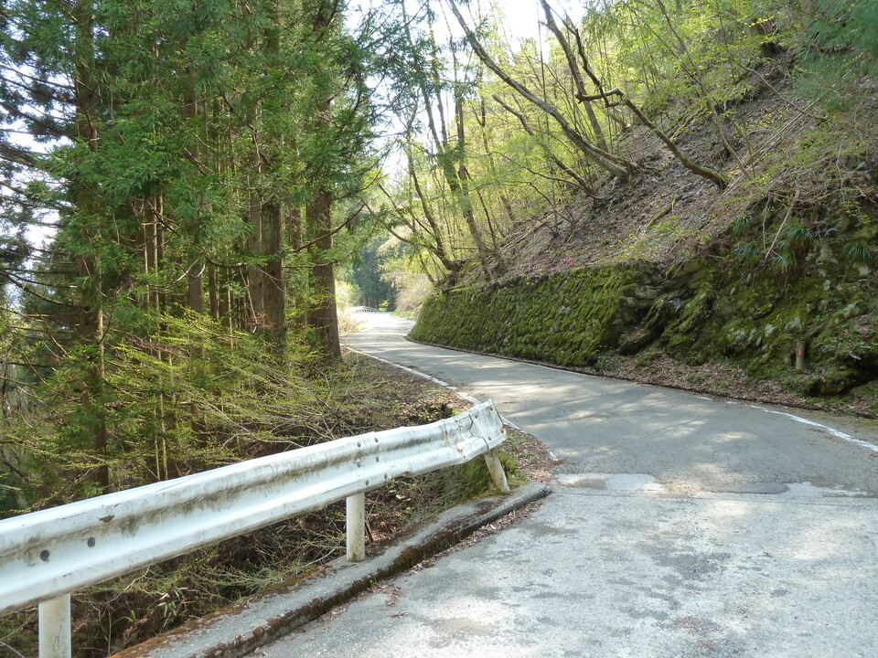 P1010250_mid.jpg