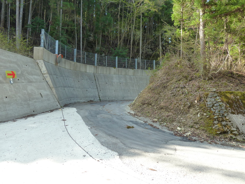 P1010256_mid.jpg