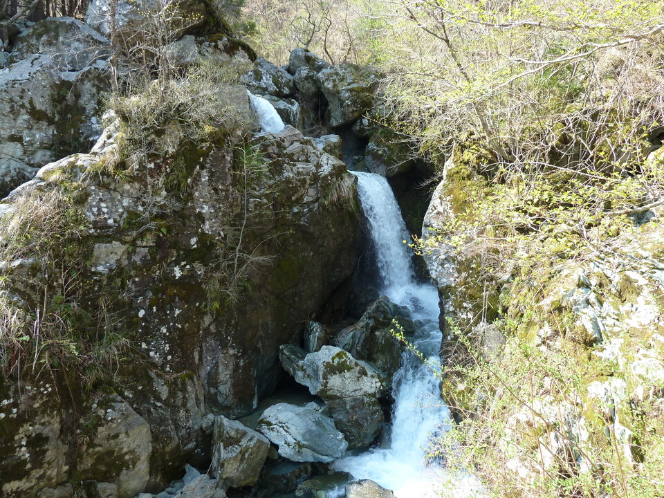 P1010263_mid.jpg
