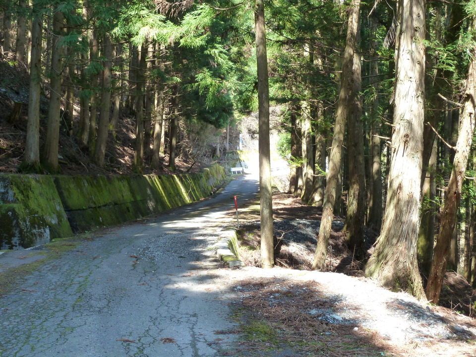 P1010269_mid.jpg